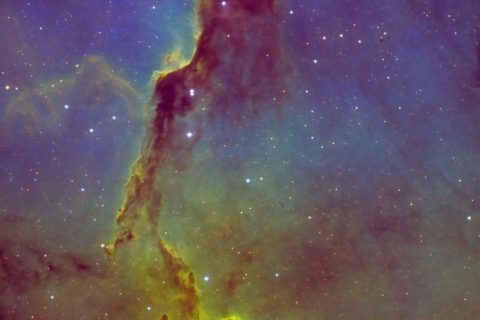IC 1396 Elefantenruessel Nebel